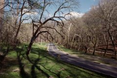Western Ridge Trail