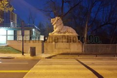 Taft Bridge - Lion Sculpture