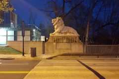 Taft Bridge - Lion Sculpture