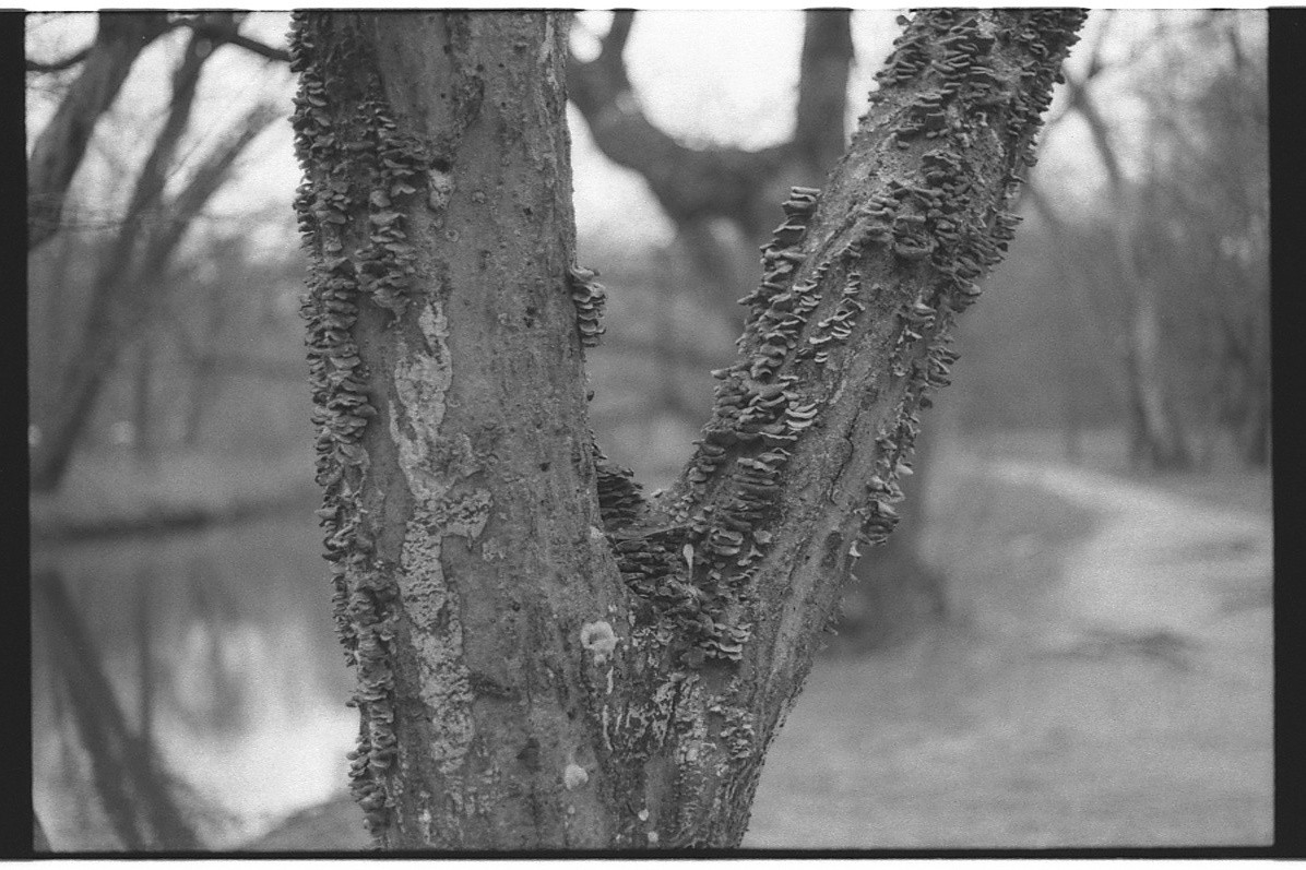 Canon EOS Rebel T2 SLR film camera bundled w/Canon Zoom EF 20-35mm f/3.5-4.5 usm and original strap!. Working & in excellent shape! - Image 9