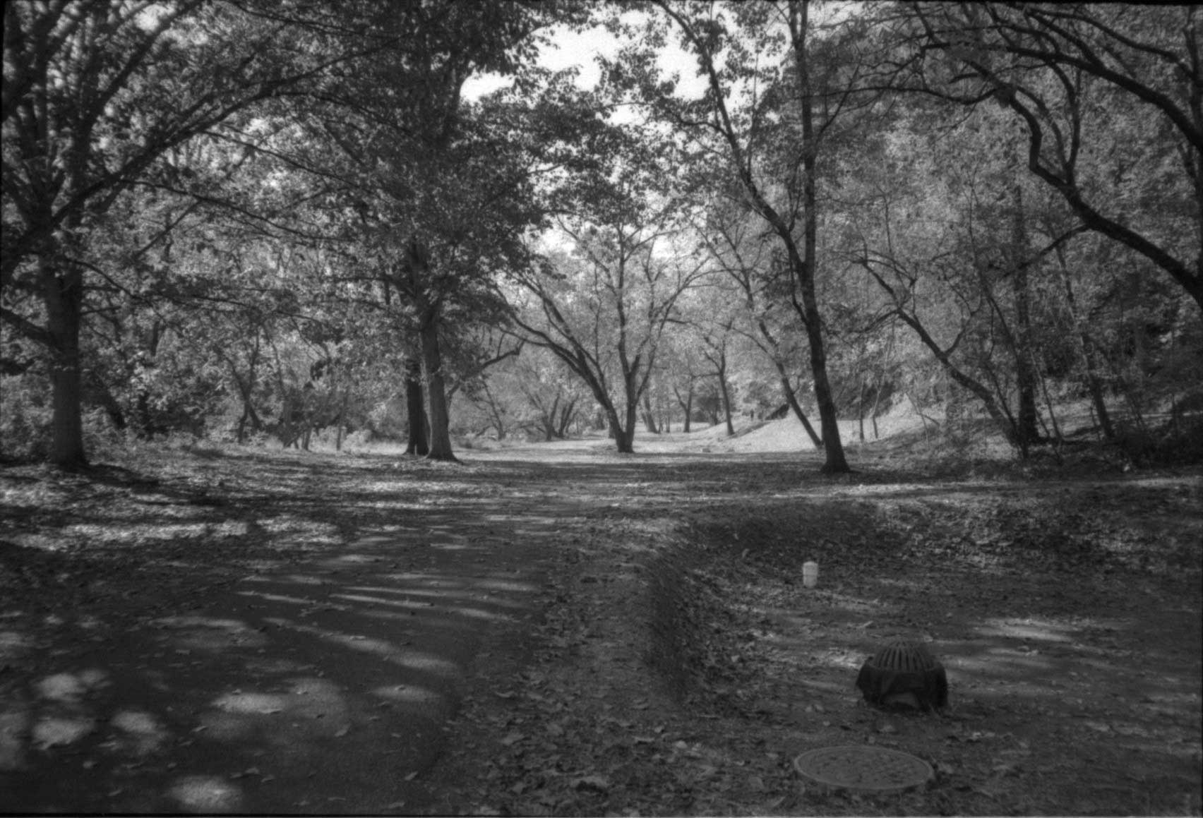 Olympus XA rangefinder film camera CLA'd with flash, boxed - Image 12