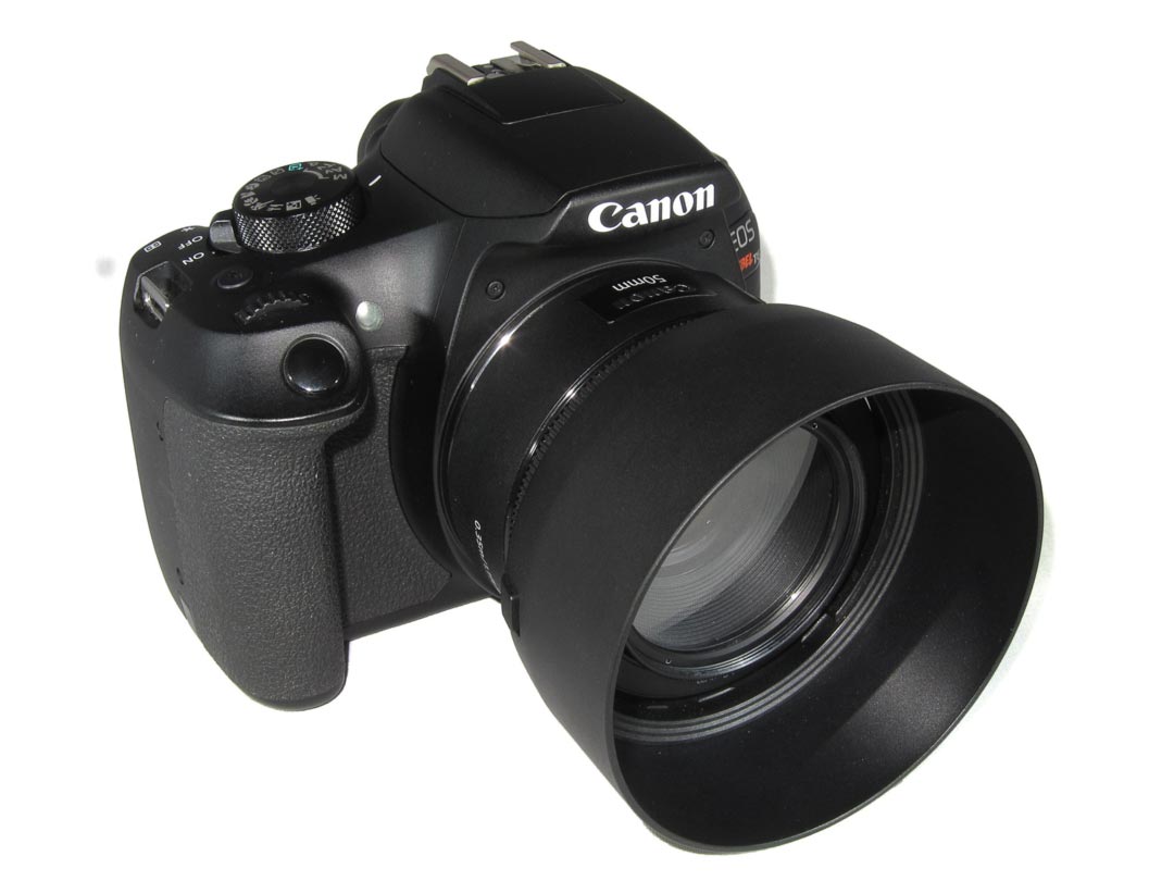 Canon EOS Rebel DSLR with 2 lenses ++ - Image 2