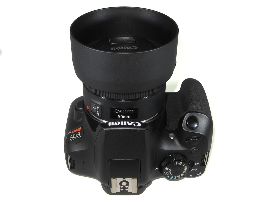 Canon EOS Rebel DSLR with 2 lenses ++